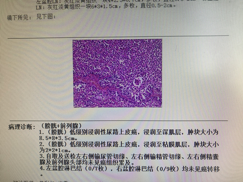 1608189935832923.jpg