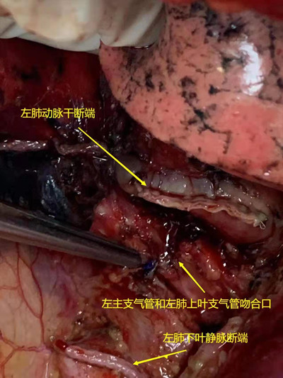微信图片_20211230145806_副本.jpg